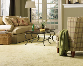 carpeted flooring of a living room